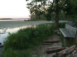 Swampy spot along the George Washington Parkway just north of Mt. Vernon