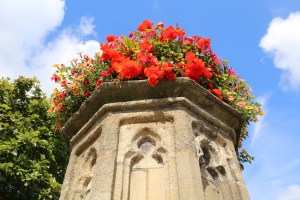 Glastonbury boasted the most beautiful flowers - they were everywhere