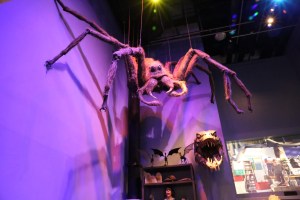 Shelob... I mean, Aragog.