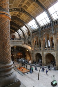 Another view of the great hall