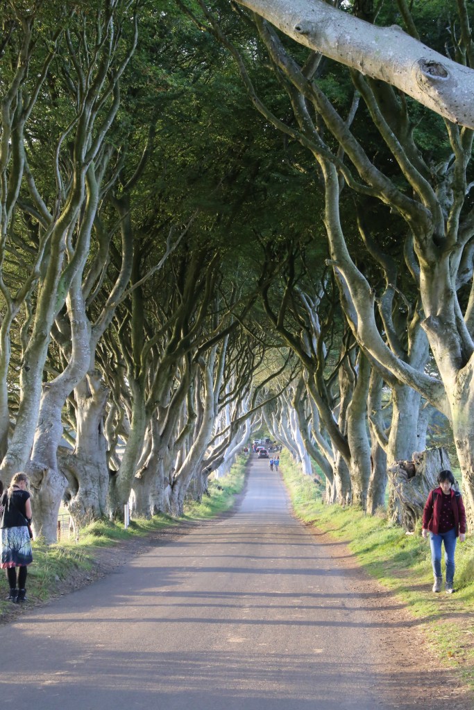 The Dark Hedges, the only grove of serpentine beech trees growing together in the world, was featured as the Kings Road at the beginning of season 2.