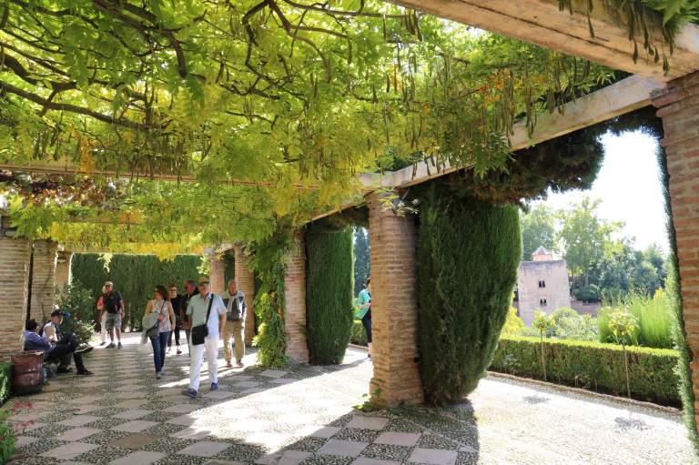 This trellis offers much-needed shade.