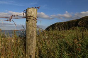 Northern Coast of Northern Ireland, near Ballintoy Harbor