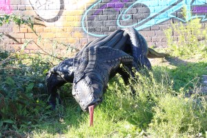 This little lizard is in the Nomadic Community Gardens