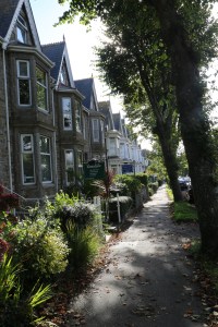 Lovely homes on Alexandria St.
