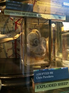Dissected monkey head - wishing you hadn't scrolled down, aren't you?
