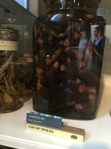 Jar of Moles