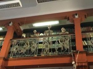 The Waldorf and Statler skeletons... really probably just some regular skeletons on a balcony