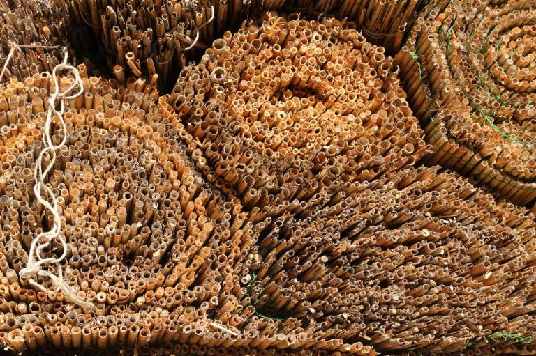 I'm not sure if these were decorative or practical, but I like the pattern in detail.