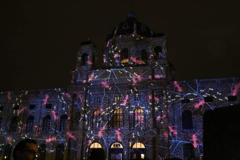 Light Show