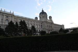 The Museum of Art History 