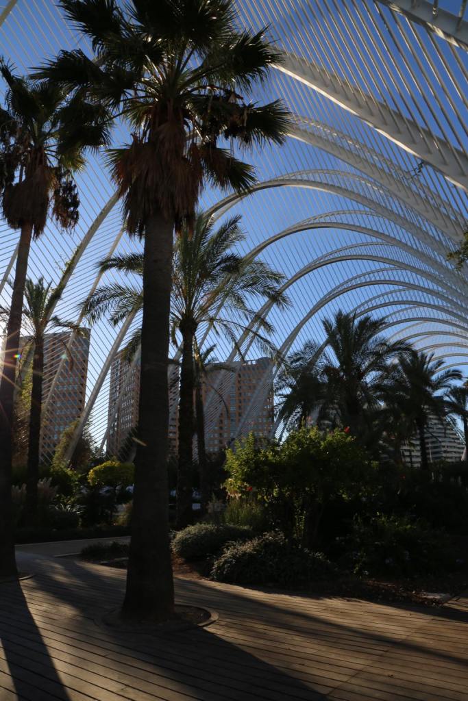 Inside L'Umbracle or the gardens