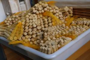 A selection of bobbins for lace making in Plaça Redona