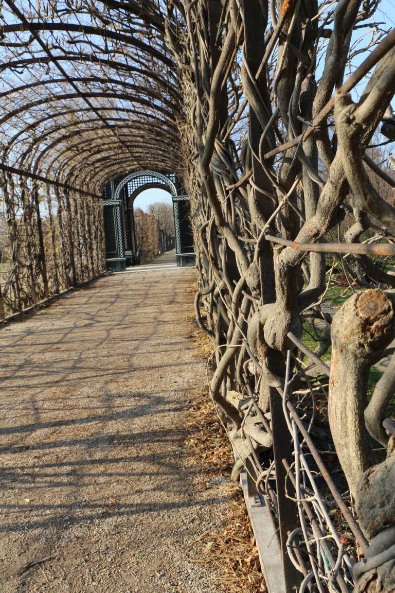 Schonbrunn15