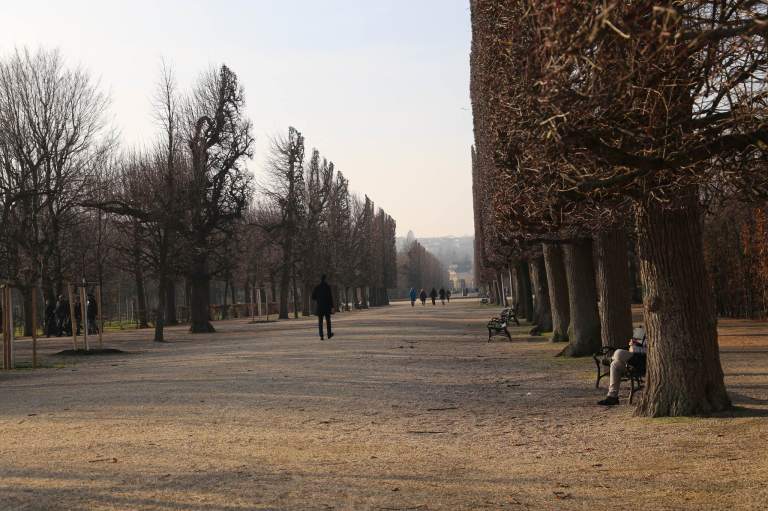 Schonbrunn2