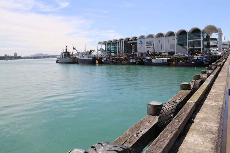 AKLHarbour18