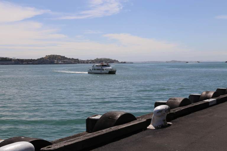 AKLHarbour9