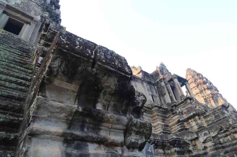 AngkorWatMonkeys12