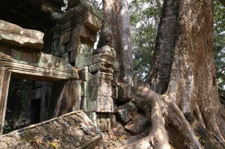 TaProhm12