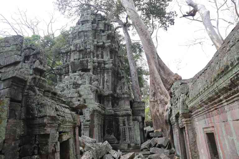 TaProhm19