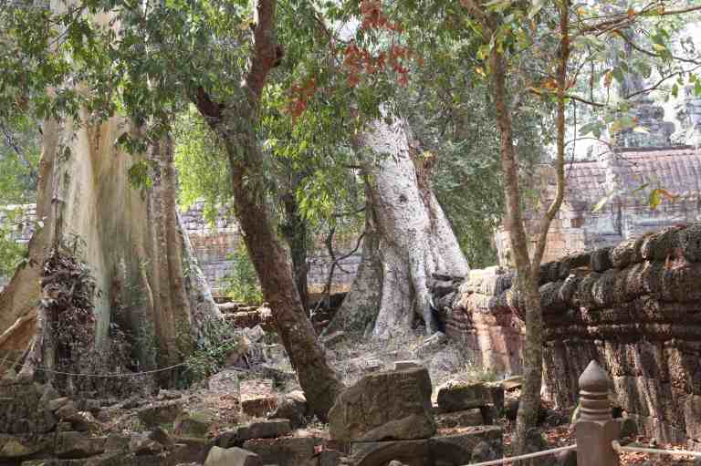 TaProhm23