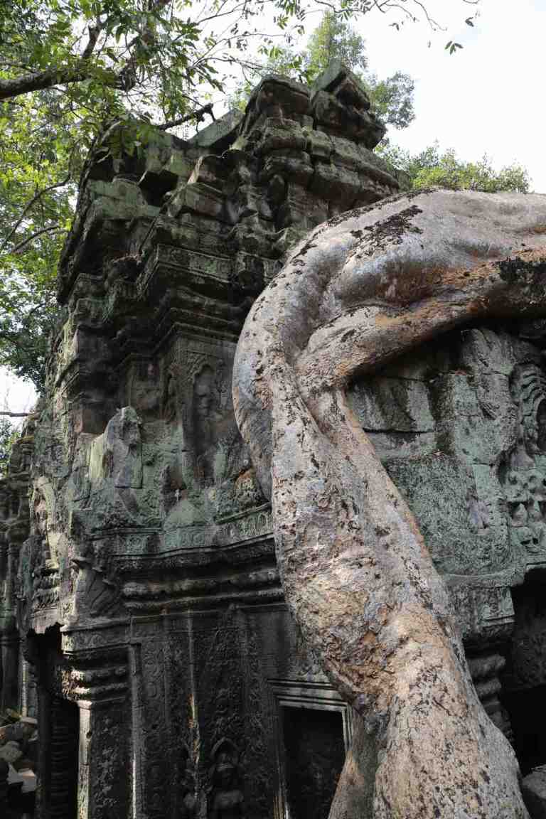 TaProhm24