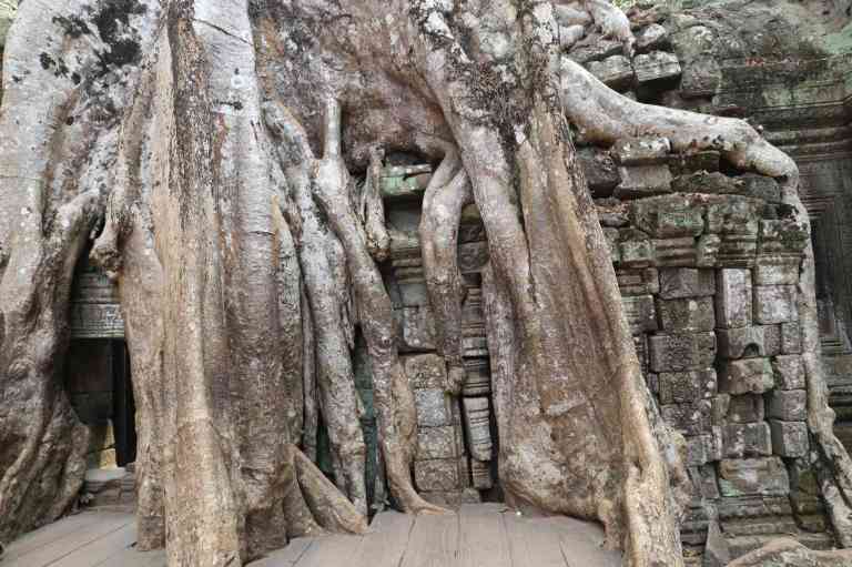 TaProhm26