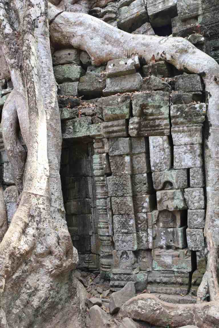TaProhm28