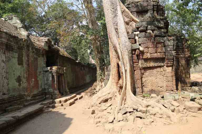 TaProhm30