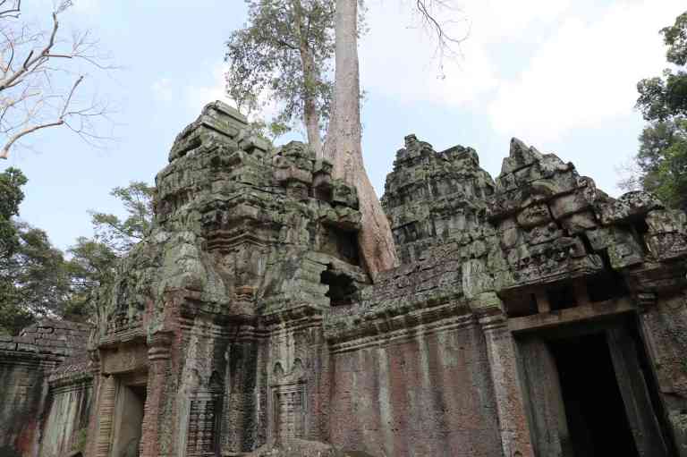 TaProhm31