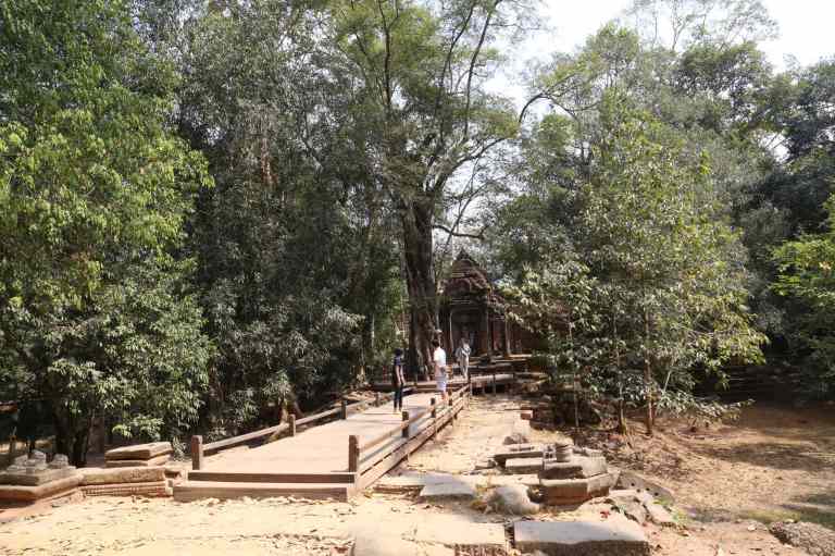 TaProhm6