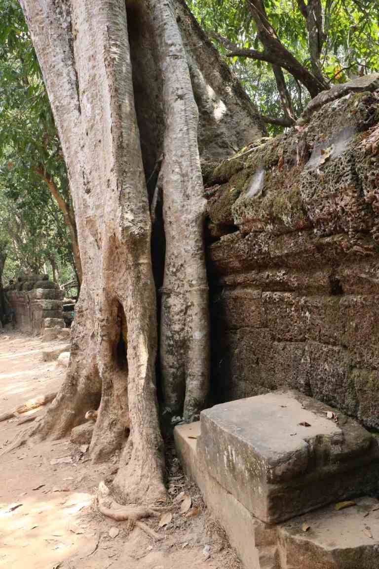 TaProhm9