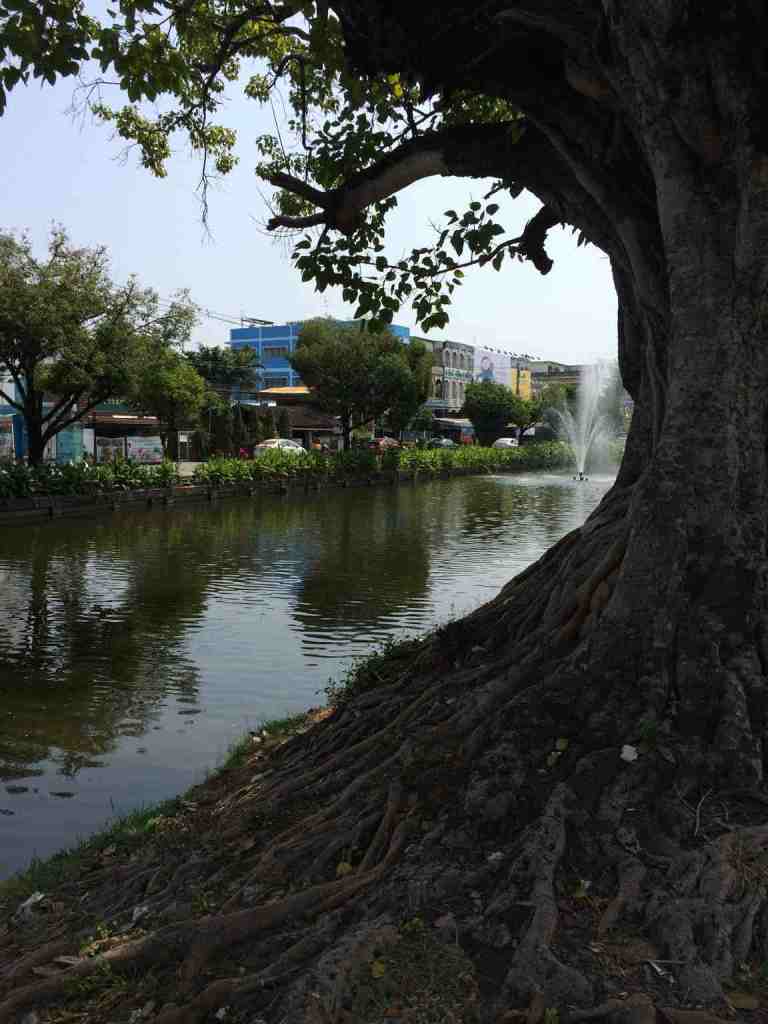 ChiangMai8