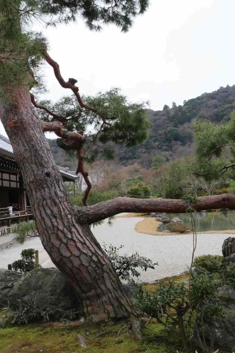 Tenryuji20
