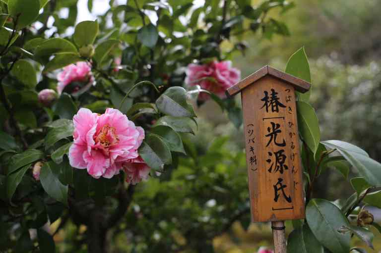 Tenryuji27